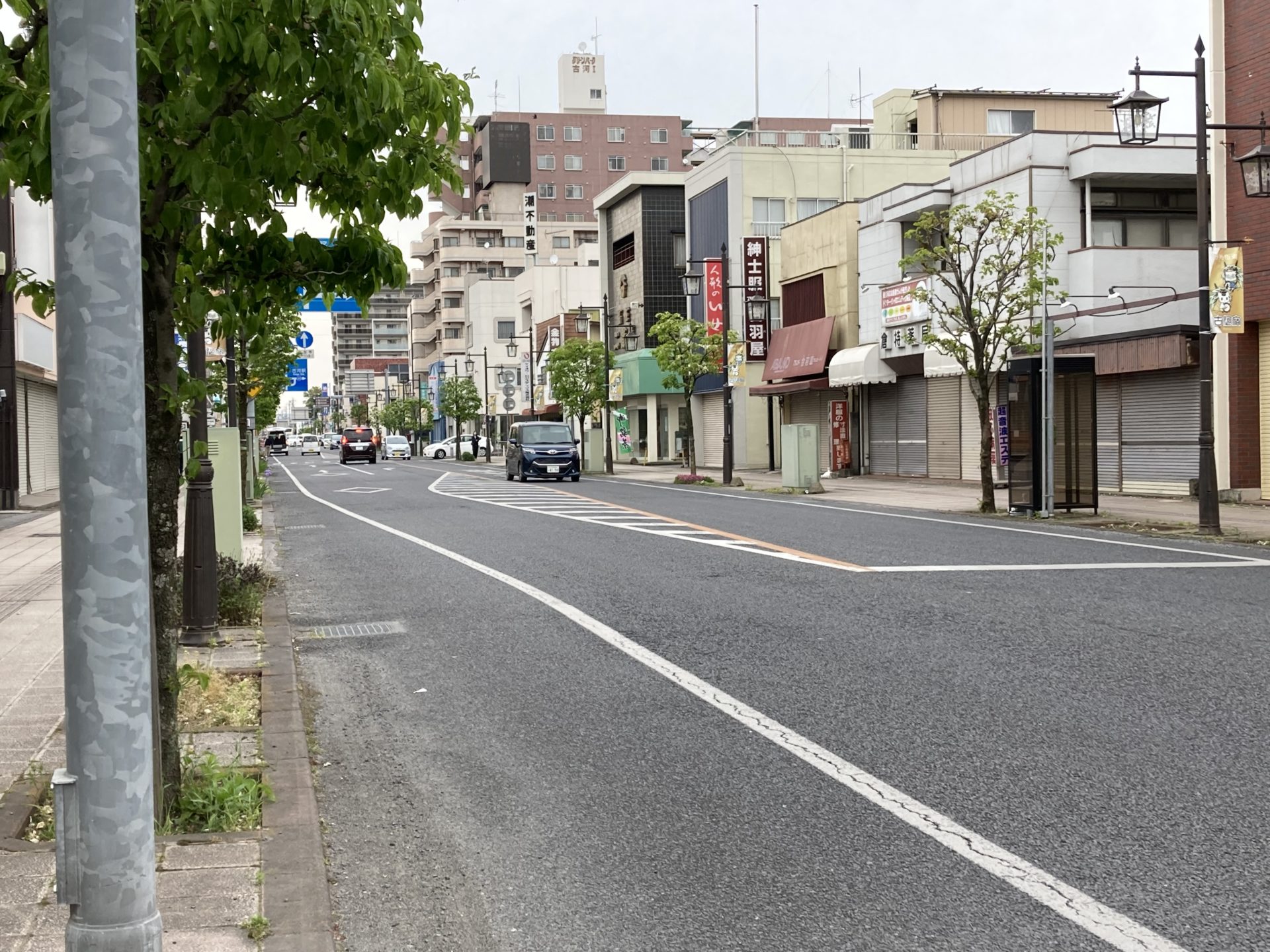 散歩会のお知らせ】5/11(日)ちゃらぽこ街道さんぽ「日光街道を歩く」第